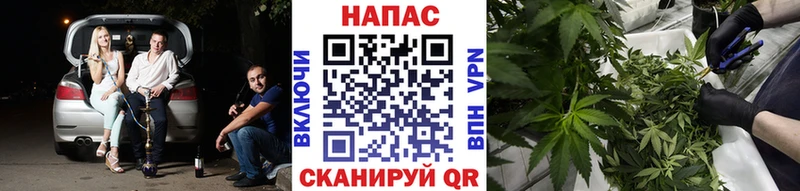 Каннабис Bruce Banner  Купить где  Лебедянь 